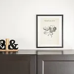 Escalera 12